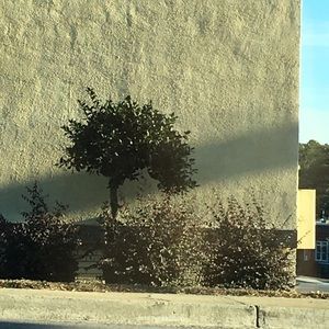 Meet your Posher, Snz